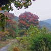 November 2002
